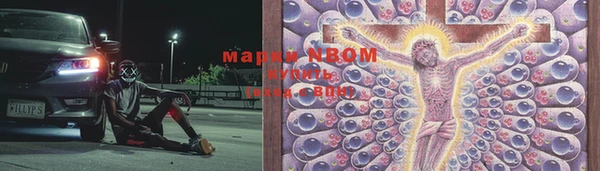 тгк Богородск
