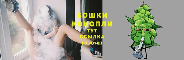 тгк Богородск