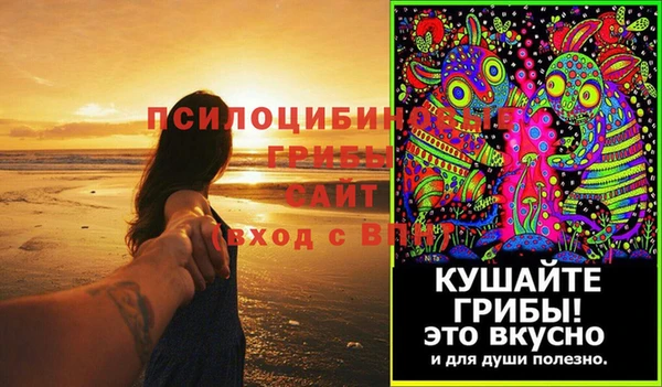 тгк Богородск